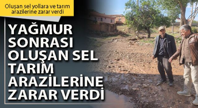 Yağmur sonrası oluşan sel tarım arazilerine zarar verdi