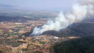 İzmirde ormanlık alanda yangın
