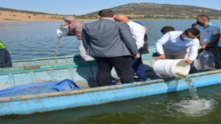 Ispartada su kaynaklarına 933 bin 720 adet balık bırakıldı