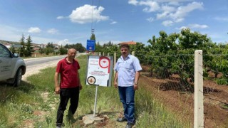 Mihalıççık ilçesi Akdeniz Meyve Sineğinden Ari Alan tesis edildi