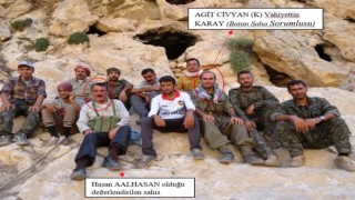 PKK terör örgütüne yönelik operasyon, 1 kişi tutuklandı