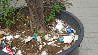 Duyarsız vatandaşlar bitki saksısını çöplük yaptı