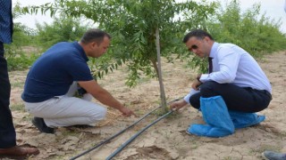 Emirdağ kent ve ülke tarımına katkı sunmaya devam ediyor