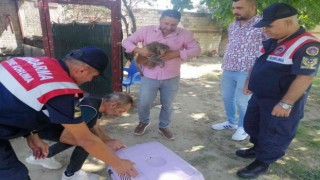 İzmirde ilginç olay: 2 yaşındaki çocuğun elini maymun ısırdı