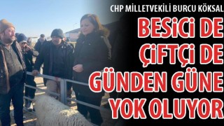 CHP'li Köksal: Besici de çiftçi de günden güne yok oluyor