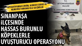Sinanpaşa ilçesinde hassas burunlu köpeklerle uyuşturucu operasyonu