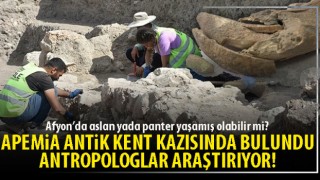 Apemia Antik Kent kazısında bulundu Antropologlar araştırıyor!
