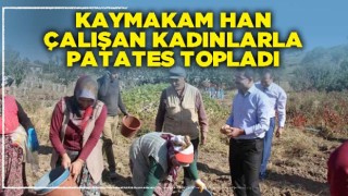 Afyonkarahisar'da Kaymakam Han çalışan kadınlarla patates topladı