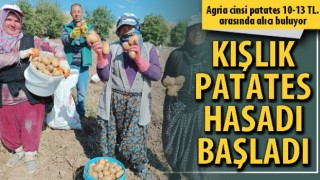Afyonkarahisar'da kışlık patates hasadı başladı