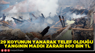 29 koyunun yanarak telef olduğu yangının maddi zararı 800 Bin TL