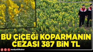 Bu çiçeği koparmanın cezası 387 Bin TL