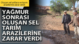 Yağmur sonrası oluşan sel tarım arazilerine zarar verdi